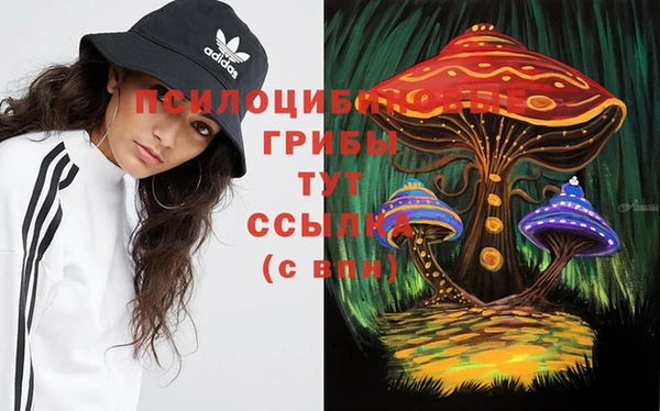 мдма Гусь-Хрустальный