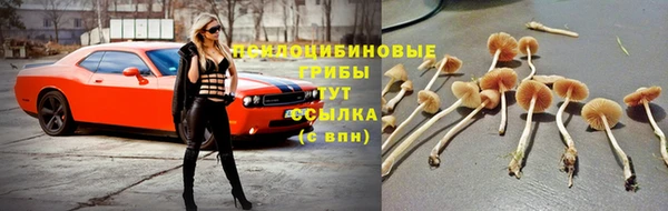 мдма Гусь-Хрустальный