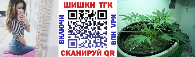Канабис сатива  Жигулёвск 